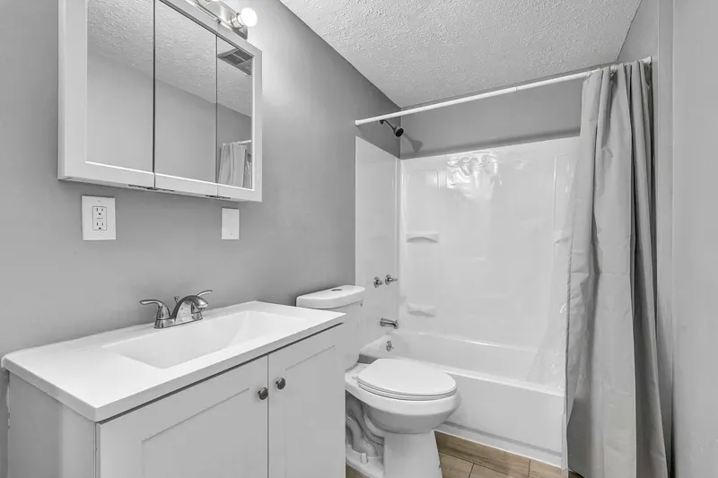 Bathroom with a white vanity, a mirrored cabinet and a tub with a shower